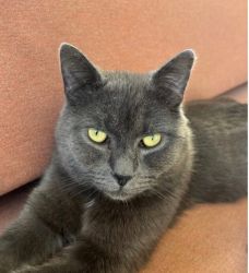 facebook-post-173414869441096_1371589008337131 image facebook-post-173414869441096_1371589008337131 Home - Dier onder Dak Dokkum