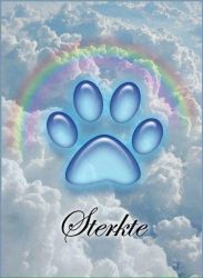 facebook-post-173414869441096_1409326801230018 image facebook-post-173414869441096_1409326801230018 Home - Dier onder Dak Dokkum