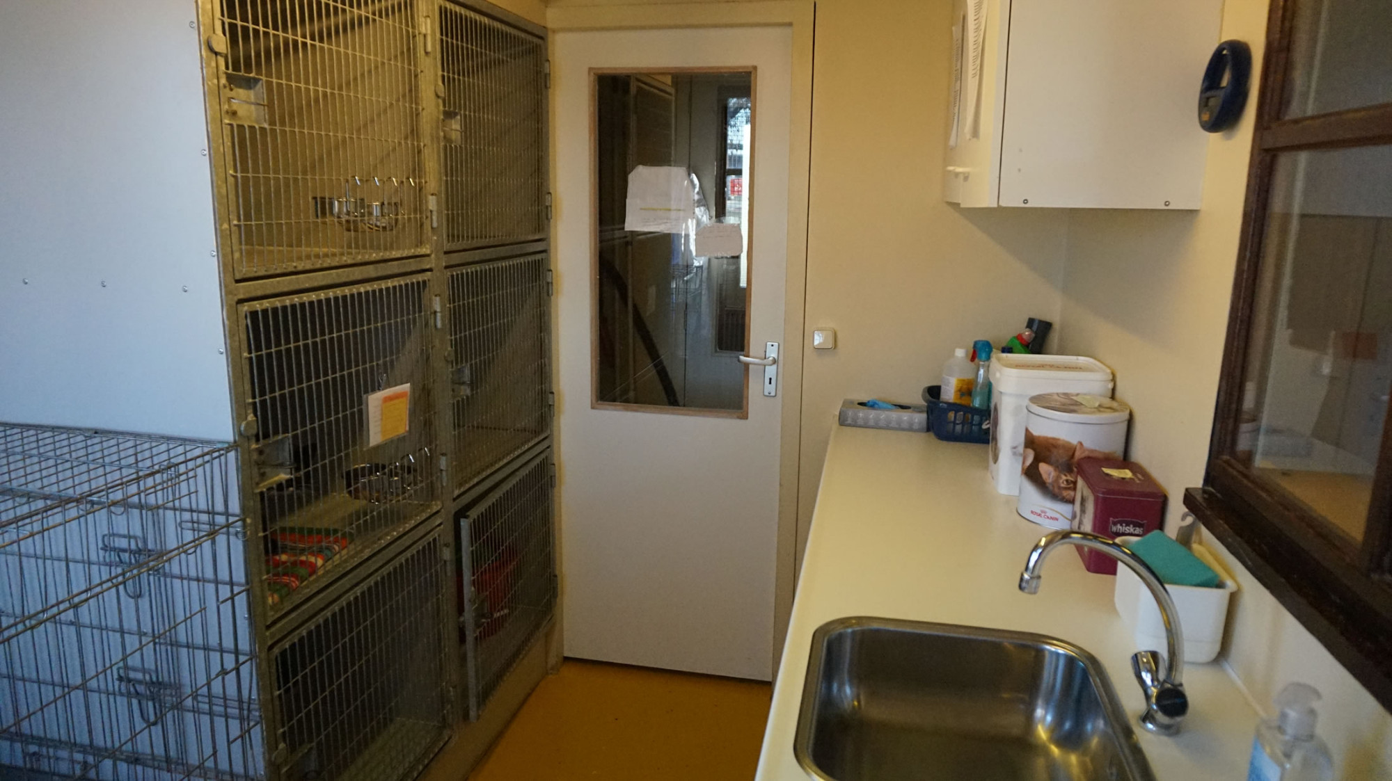 DSC06273-30 image DSC06273-30 Organisatie & Beleid - Dier onder Dak Dokkum