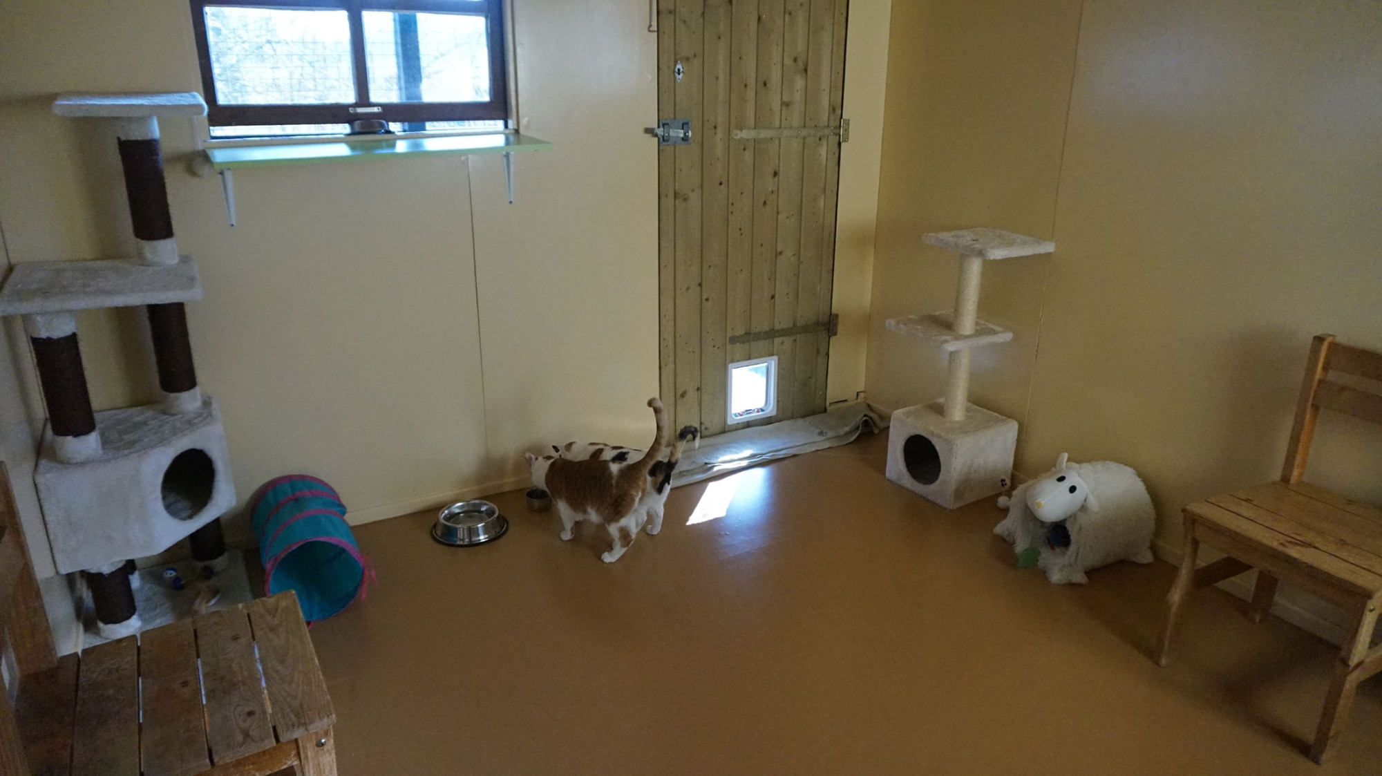 DSC06302-26 image DSC06302-26 Organisatie & Beleid - Dier onder Dak Dokkum