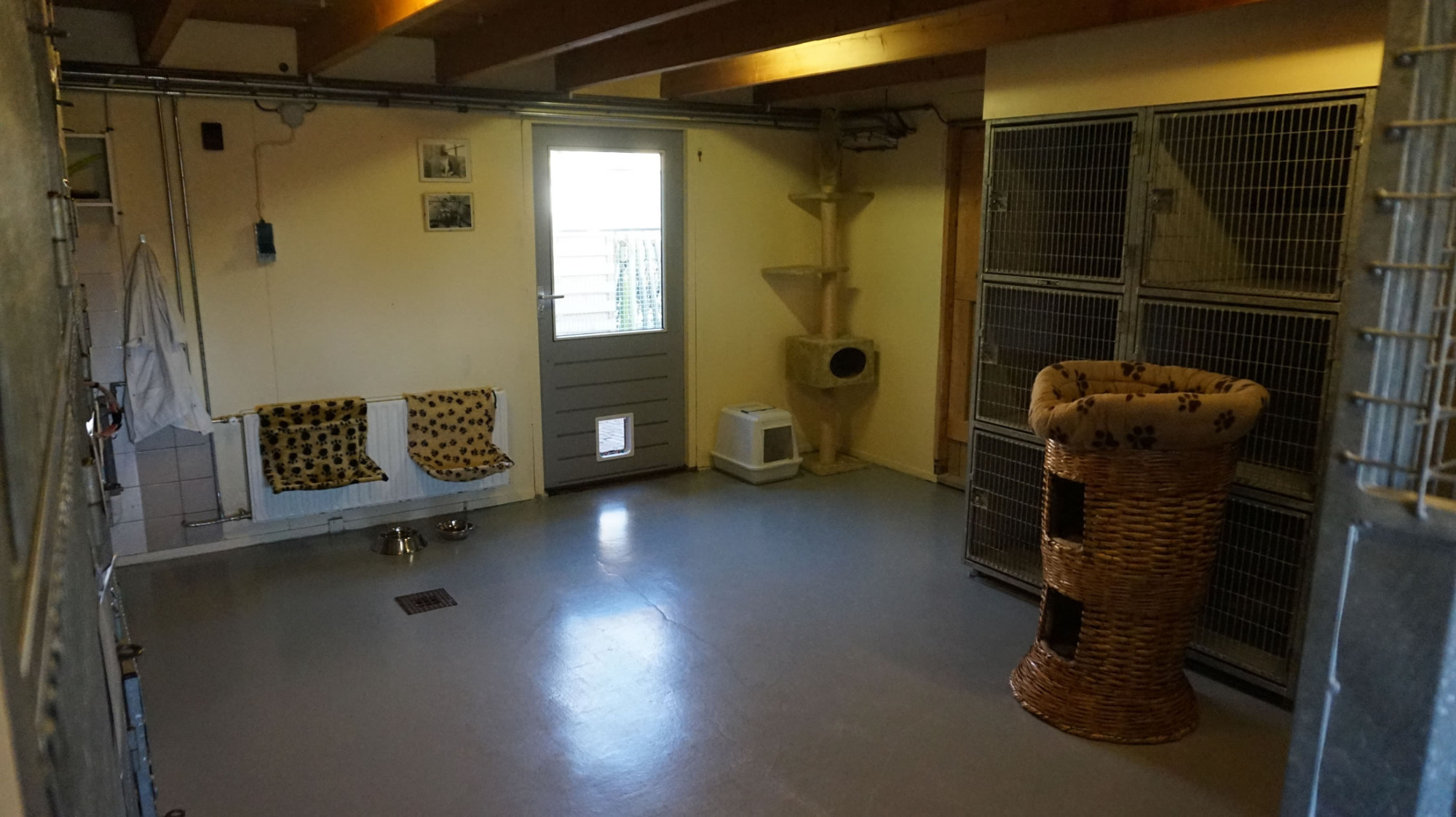 DSC06311-23 image DSC06311-23 Organisatie & Beleid - Dier onder Dak Dokkum