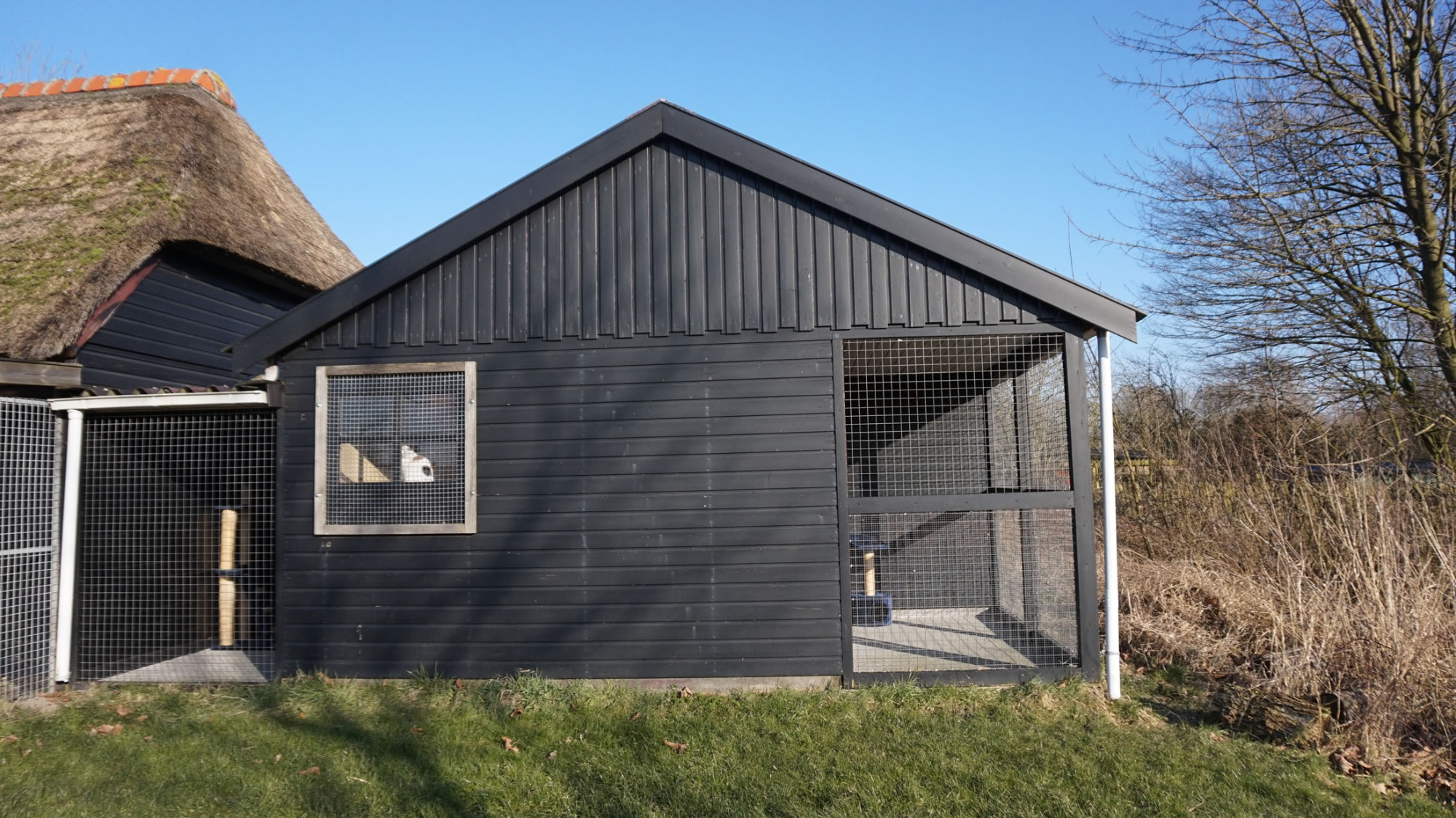 DSC06319-16 image DSC06319-16 Organisatie & Beleid - Dier onder Dak Dokkum