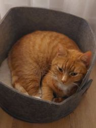 facebook-post-173414869441096_1389697489859616-2036dfe6 Home - Dier onder Dak Dokkum