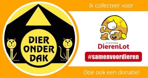 facebook-post-173414869441096_1522445229918174-b3cce17f Home - Dier onder Dak Dokkum